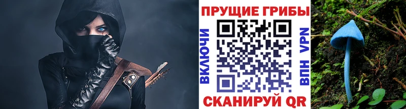 Псилоцибиновые грибы Cubensis  ссылка на мегу ССЫЛКА  Бодайбо 